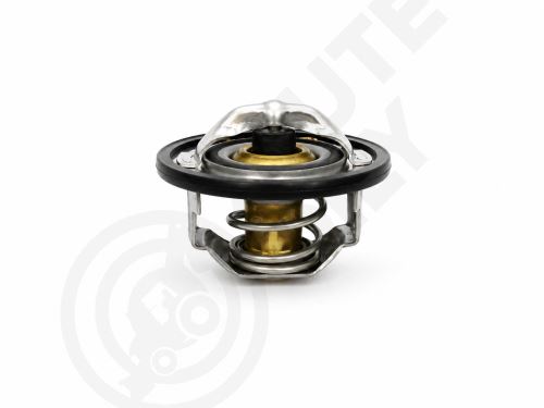 termostat pro JCB